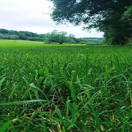 With Terrace デュルビュイ