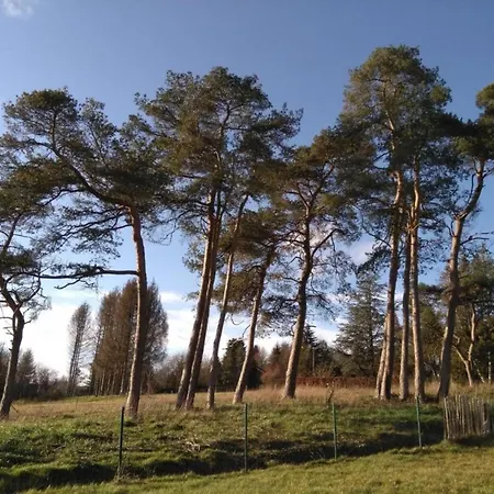Well-kept Near *